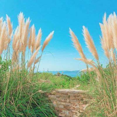 半岛官方手机网页版