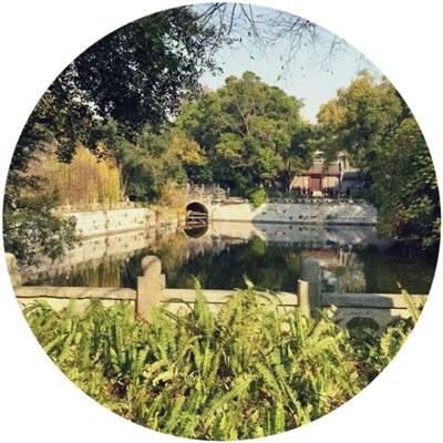 双彩网下载手机版